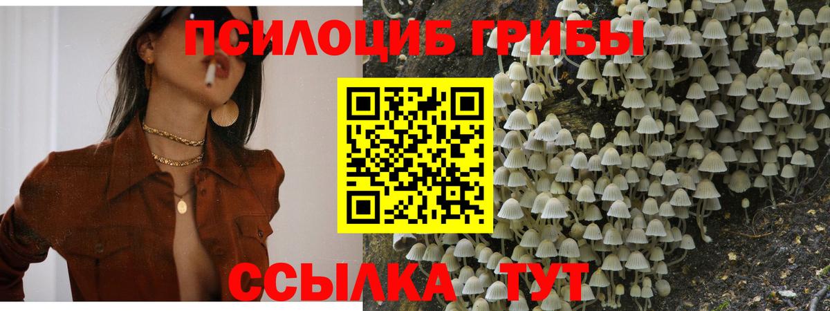 Галлюциногенные грибы мухоморы Родники